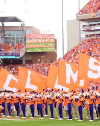 Go Tigers GIF by Clemson University - Find & Share on GIPHY