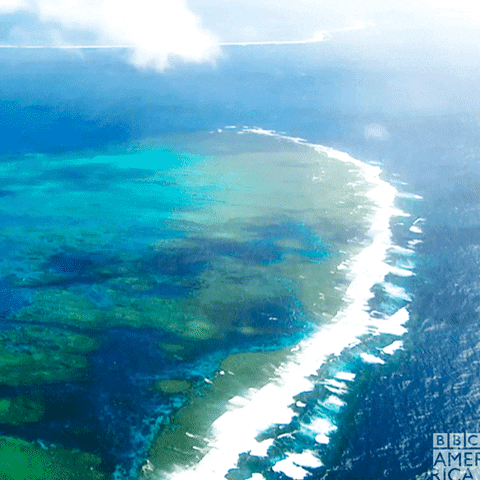 Ocean Landscape GIF by BBC America