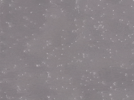 Capacitated Sperm Sample GIF