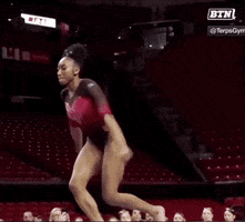 Excited University Of Maryland GIF by Maryland Terrapins