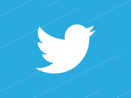 Bird GIF