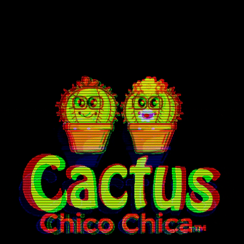 Cactus Chico GIF by CactusChicoChica