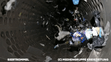 Pet GIF