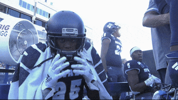NevadaWolfPack football wolf pack unr nevada wolf pack GIF