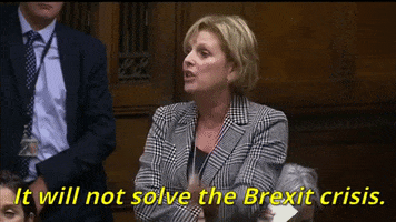 news brexit parliament house of commons brexit debate GIF