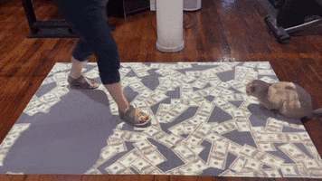 Cat Money GIF by LUMOplay