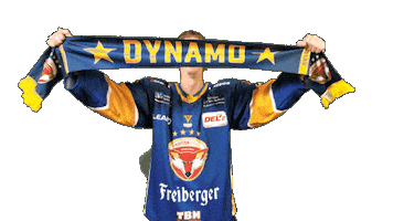 Fanshop Celbrate Sticker by Lausitzer Füchse