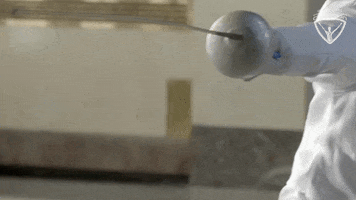 Arc Fencing GIF by All-Round Champion