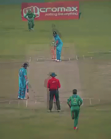 Cricket GIF
