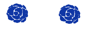 Rose Sticker