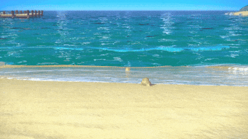 Beach Play GIF by Moonbug