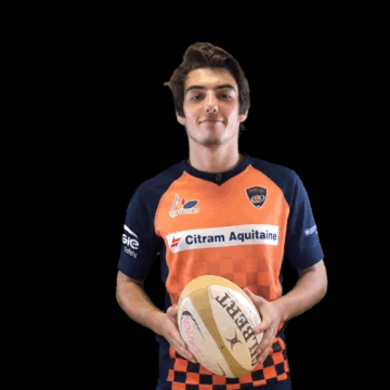 CA Lormont GIF