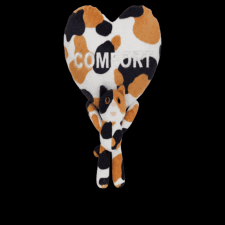 Cat Love GIF by comfortseoul