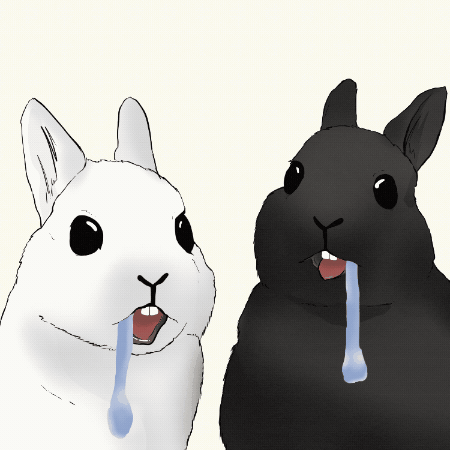 Bunny Bunnies GIF
