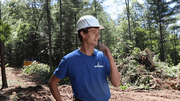 Confused Wolf GIF by JC Property Professionals