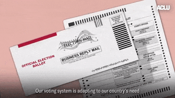 Voting Election 2020 GIF by ACLU
