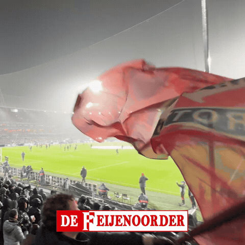 De Kuip Flag GIF by De Feijenoorder