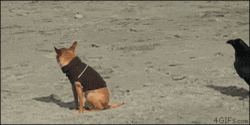 creep creeping GIF