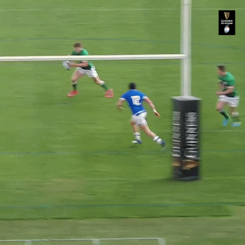 Irish Rugby Celebration GIF by Guinness Six Nations