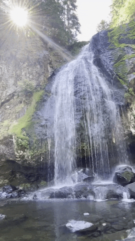 giphy.gif?cid=2154d3d723589d9c66974fea2f