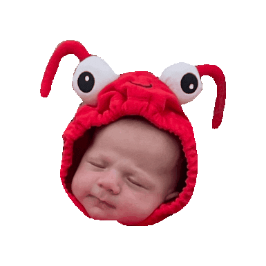 Babylobster Sticker by EastWestHospitality