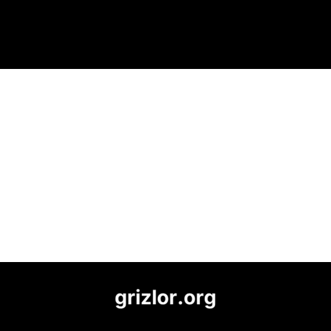 Fun Joy Sticker by grizlor