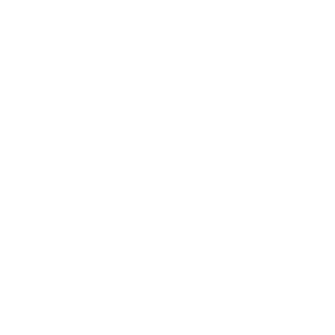 Bird for Governor of Washington GIFs on GIPHY - Be Animated
