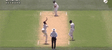 Mumbai Indians India GIF