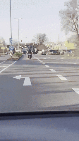 Gordon Rosenheim GIF by socialPALS