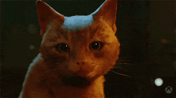 Knock Off Cat GIF by Xbox