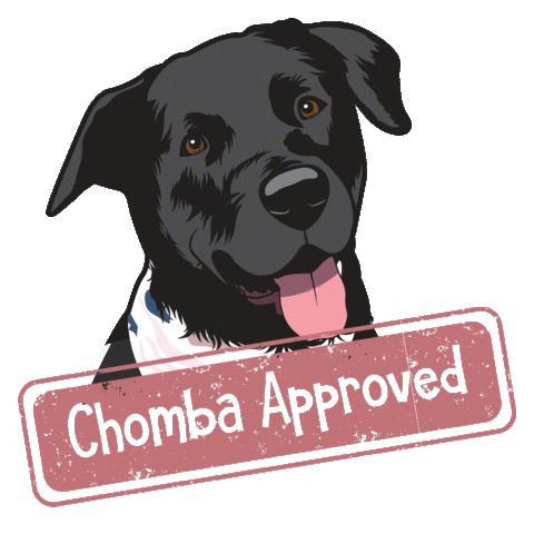 Dogaholic_Panama Sticker