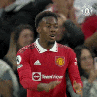 Well Done Ok GIF by Manchester United