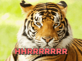 lama  GIF