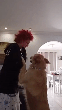 Service Dog Helps Young Woman With Autism