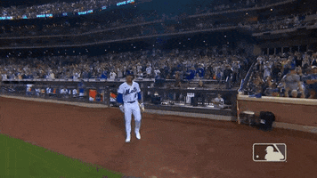 Ny Mets GIF by New York Mets