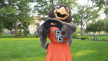 Bowling Green Love GIF by Bowling Green State University
