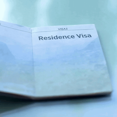 Immigration Visa GIF by Oi