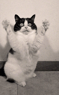 picture I Got Better Gif better feeling gifs get the best gif
