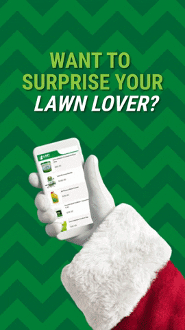 Christmas Lawn GIF by Lawn Solutions Australia