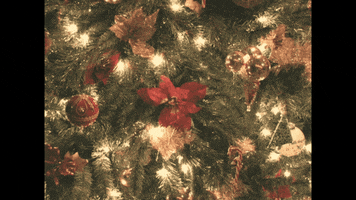 Christmas Tree GIF by Sierra Ferrell