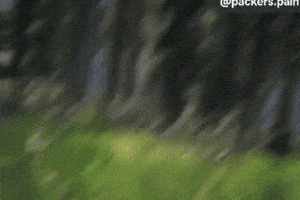 Green Bay Packers GIF