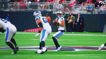 Carolina Panthers GIF by The Undroppables