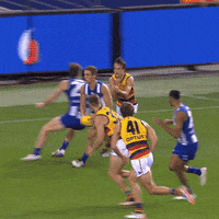 North Melbourne Goal GIF by NMFCOfficial