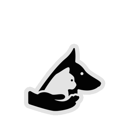 RedPanda Sticker