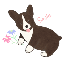 Animated Sticker