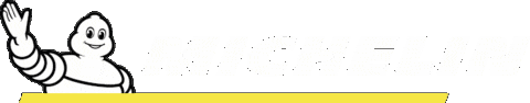 Michelin Sticker by SupercarsTribe