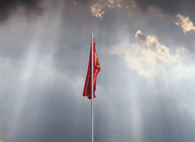 marouane53  GIF