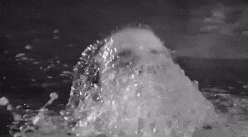 Giorgio Armani Bp GIF