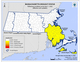 Massachusetts GIF