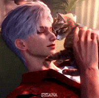 Cat GIF